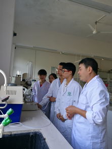 以賽促學強技能，實驗求真育匠心——環境與食品工程學院學子積極備戰廣西高校大學生化學實驗技能競賽